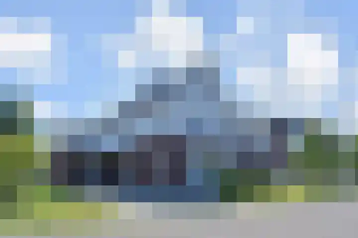 Atalantazoom 33 Pijnacker thumbnail 6