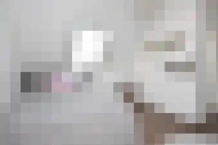 Atalantazoom 33 Pijnacker thumbnail 61