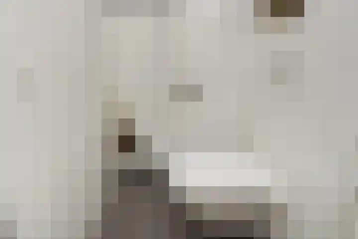 Atalantazoom 33 Pijnacker thumbnail 68