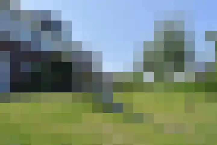 Atalantazoom 33 Pijnacker thumbnail 69