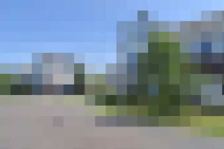Atalantazoom 33 Pijnacker thumbnail 7