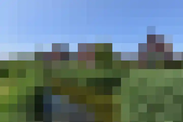 Atalantazoom 33 Pijnacker thumbnail 70