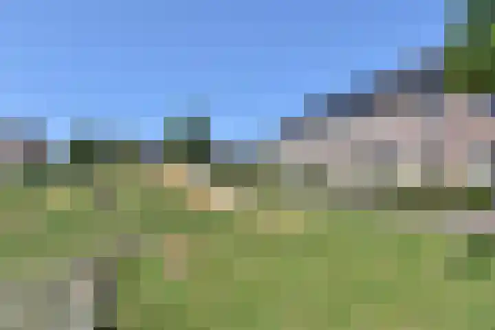 Atalantazoom 33 Pijnacker thumbnail 71