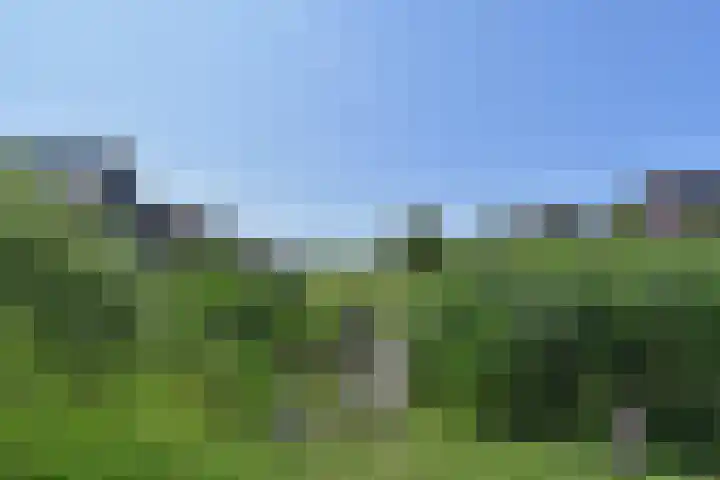 Atalantazoom 33 Pijnacker thumbnail 72