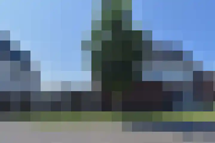 Atalantazoom 33 Pijnacker thumbnail 73