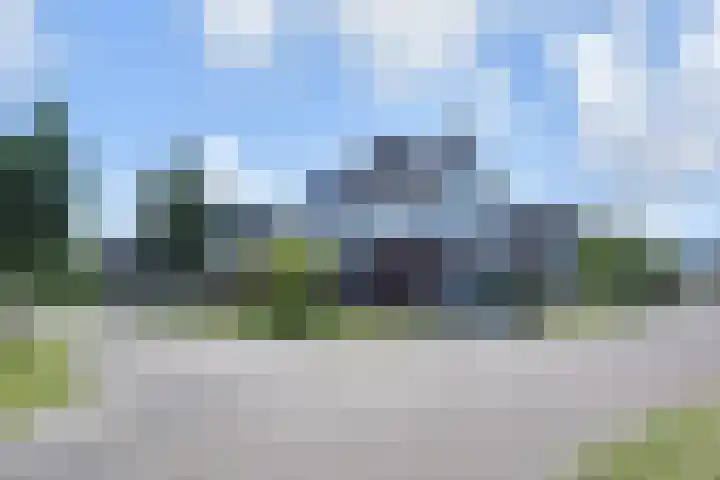 Atalantazoom 33 Pijnacker thumbnail 8