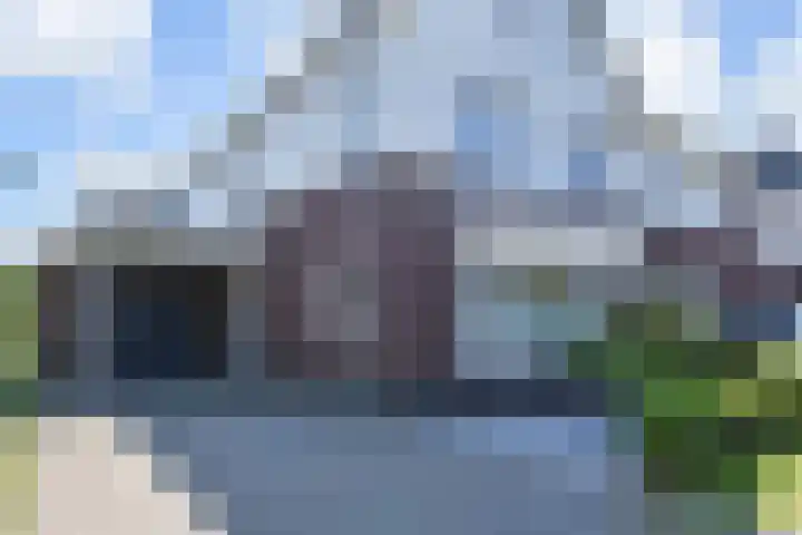 Atalantazoom 33 Pijnacker thumbnail 9