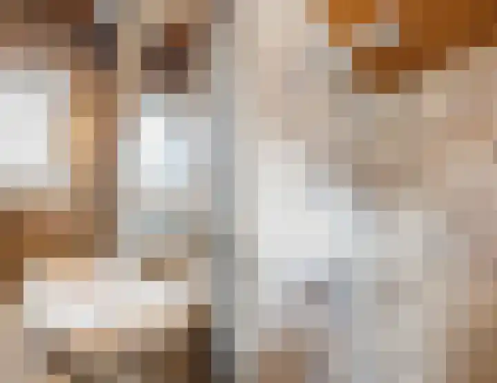 Athanasiusstraat 4 Tilburg thumbnail 15