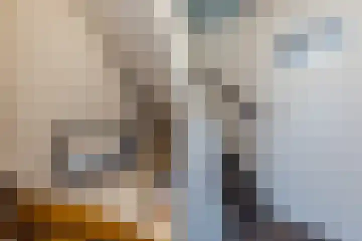 Athanasiusstraat 4 Tilburg thumbnail 16