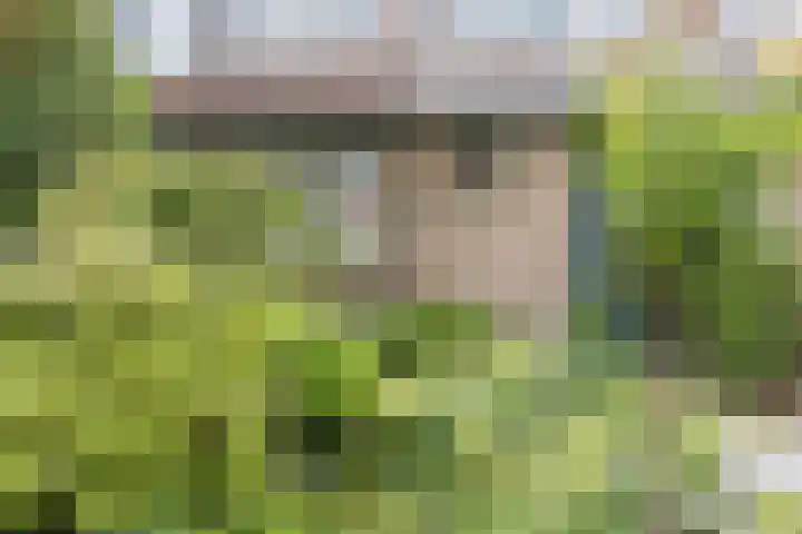 Athanasiusstraat 4 Tilburg thumbnail 22