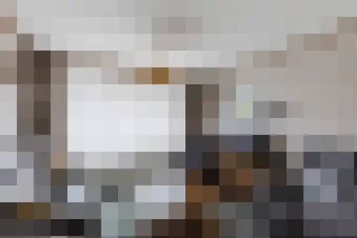 Athanasiusstraat 4 Tilburg thumbnail 5
