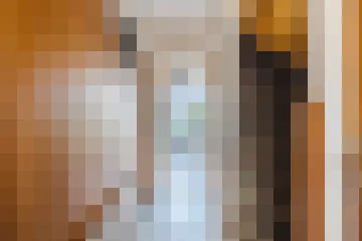 Athanasiusstraat 4 Tilburg thumbnail 6