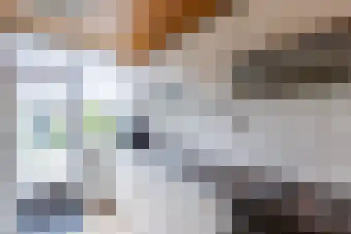 Athanasiusstraat 4 Tilburg thumbnail 9
