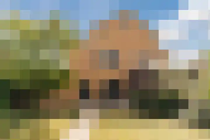 Atilla 56 Eindhoven thumbnail 21