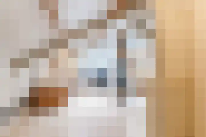 Atilla 56 Eindhoven thumbnail 34