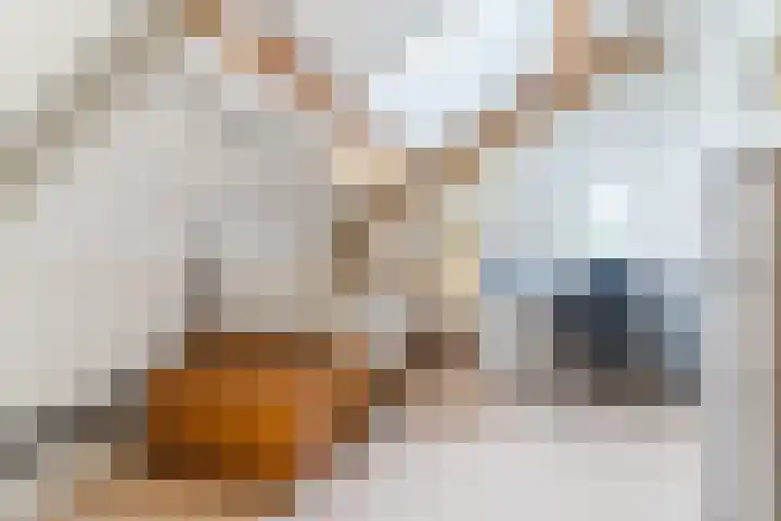 Atilla 56 Eindhoven thumbnail 35