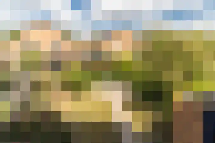 Atilla 56 Eindhoven thumbnail 4
