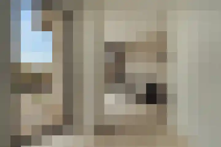 Atlantis 11 Wormerveer thumbnail 20