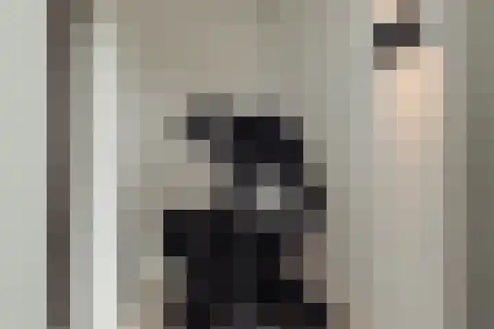 Atlantis 11 Wormerveer thumbnail 65