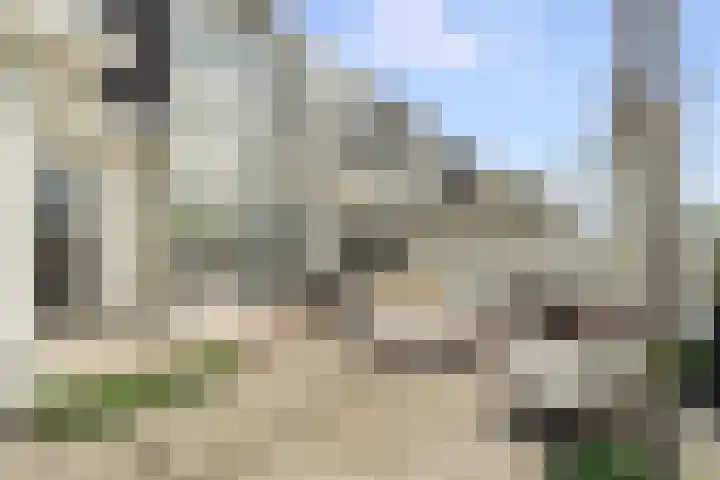 Atlantis 11 Wormerveer thumbnail 66