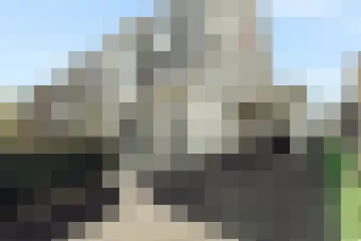 Atlantis 11 Wormerveer thumbnail 71