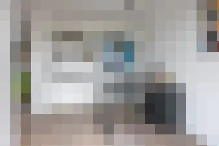 Atlantis 9 Wormerveer thumbnail 10