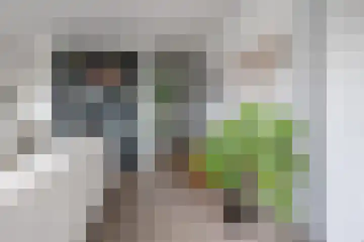 Atlantis 9 Wormerveer thumbnail 12