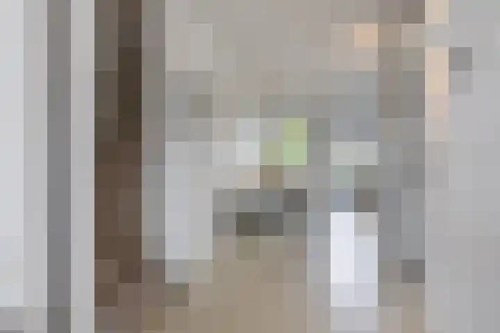 Atlantis 9 Wormerveer thumbnail 15