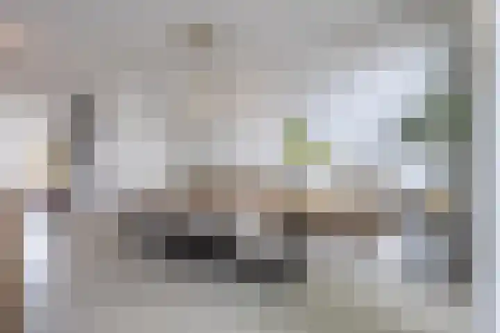 Atlantis 9 Wormerveer thumbnail 17