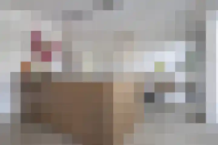 Atlantis 9 Wormerveer thumbnail 19