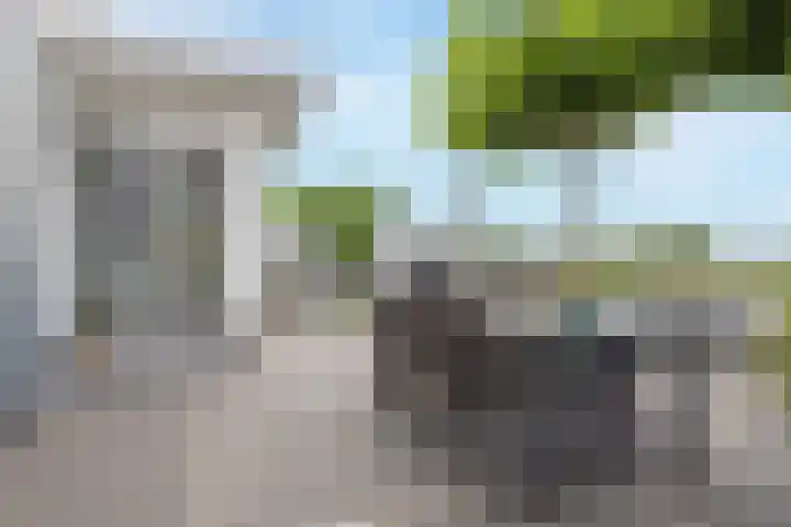 Atlantis 9 Wormerveer thumbnail 22