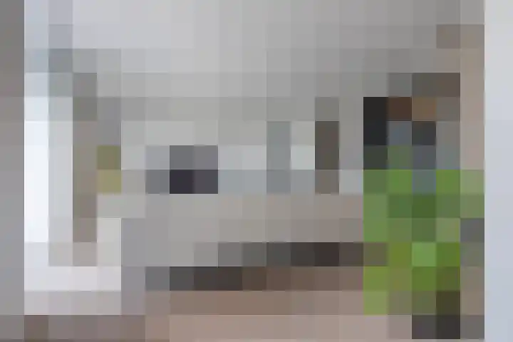 Atlantis 9 Wormerveer thumbnail 6