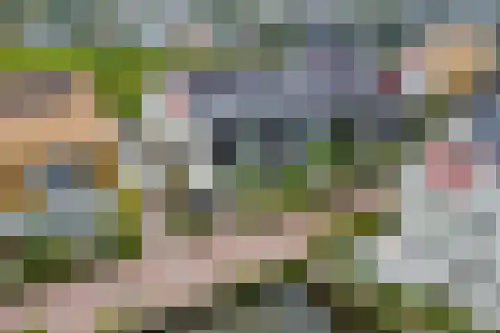 Atlantis 9 Wormerveer thumbnail 62