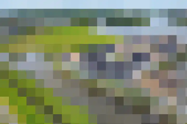 Atlantis 9 Wormerveer thumbnail 66