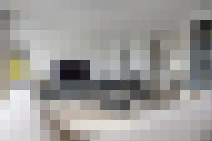 Atlantis 9 Wormerveer thumbnail 8