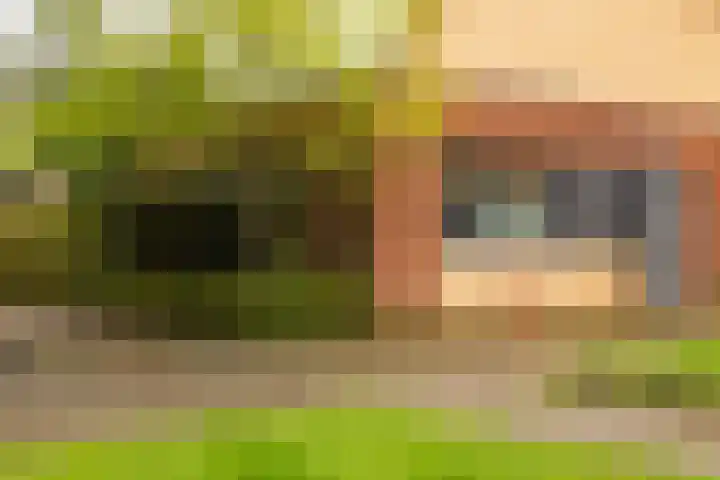 Atlasvlinder 64 Enschede