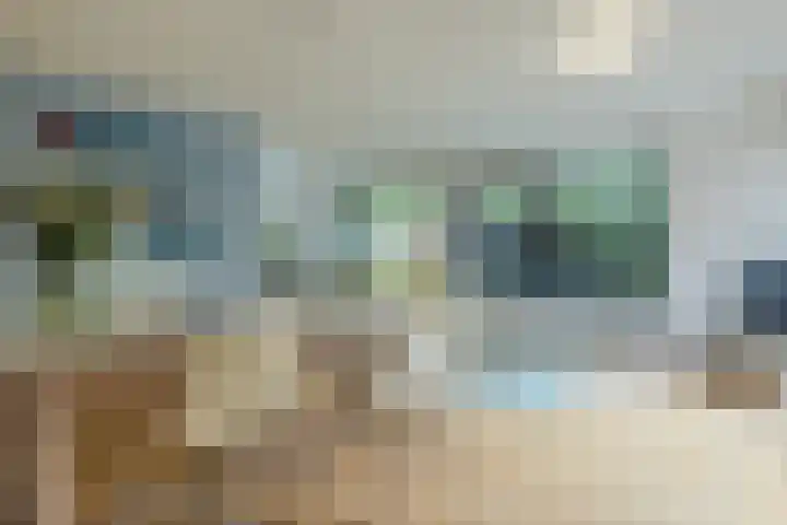 Atlasvlinder 64 Enschede thumbnail 11