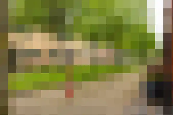 Atlasvlinder 64 Enschede thumbnail 29