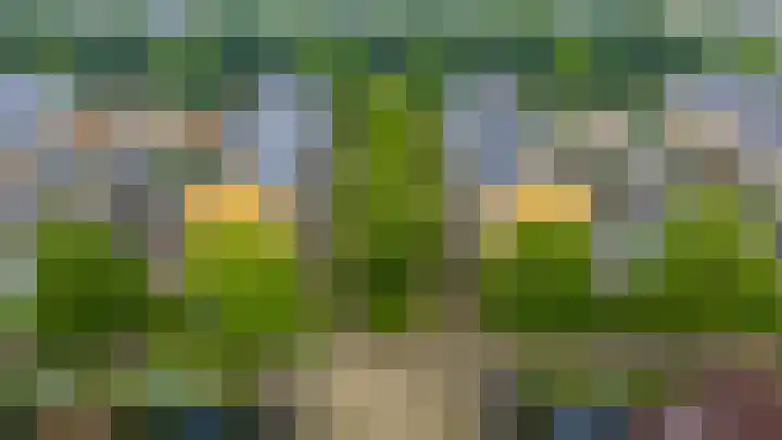 Atlasvlinder 64 Enschede thumbnail 30