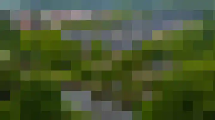 Atlasvlinder 64 Enschede thumbnail 31
