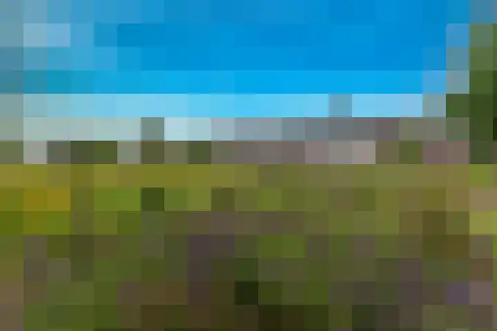 Atlasvlinder 64 Enschede thumbnail 33
