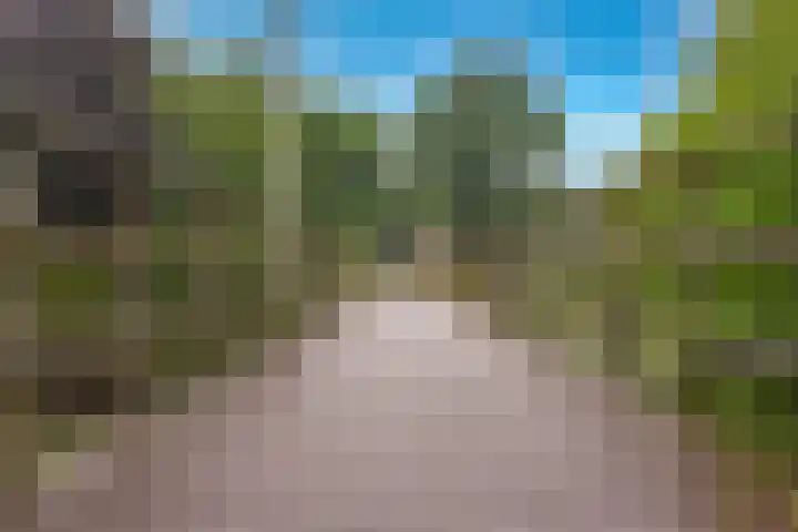 Atlasvlinder 64 Enschede thumbnail 34