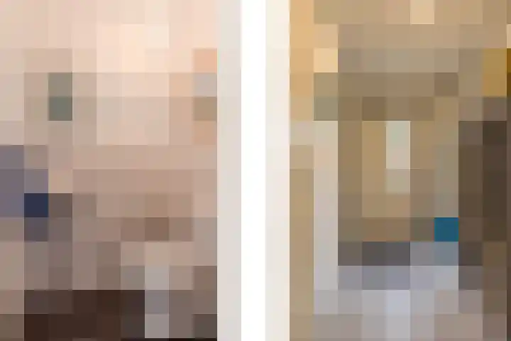Atlasvlinder 64 Enschede thumbnail 6