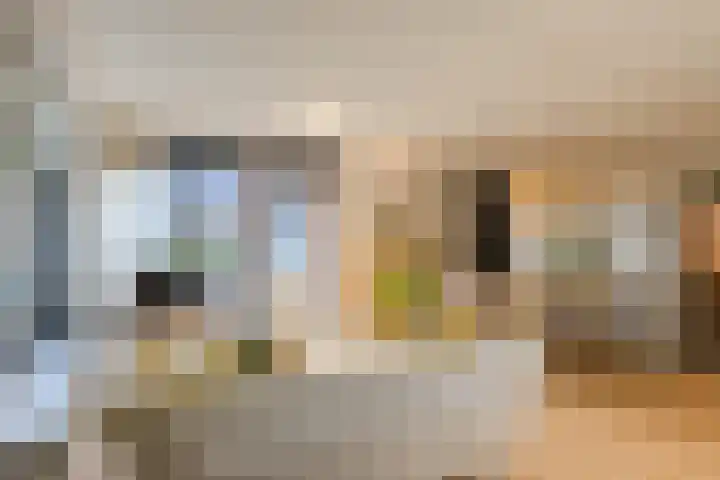 Atlasvlinder 64 Enschede thumbnail 7