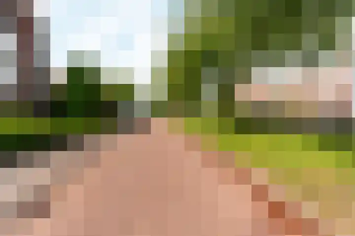 Audrey Hepburnstraat 71 Almere thumbnail 41