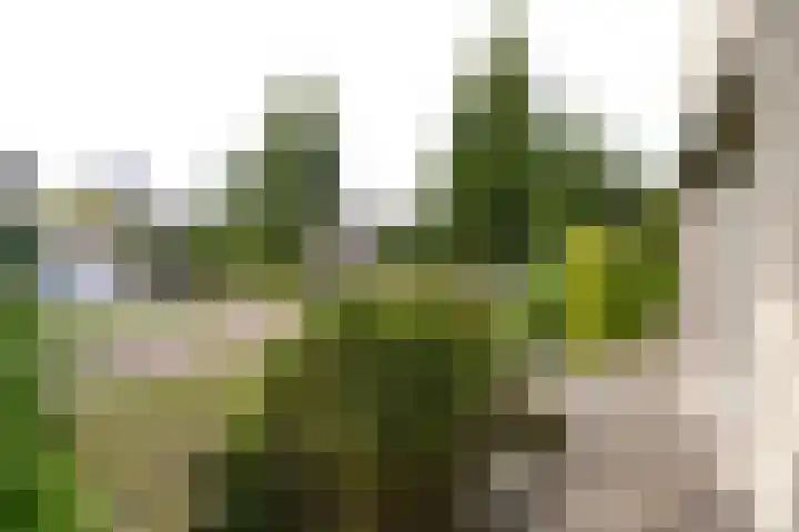 Audrey Hepburnstraat 78 Almere thumbnail 28