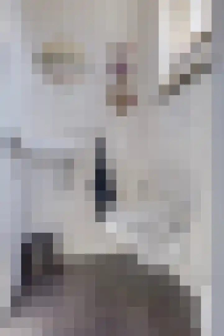 Augusta de Witstraat 5 Gemert thumbnail 7