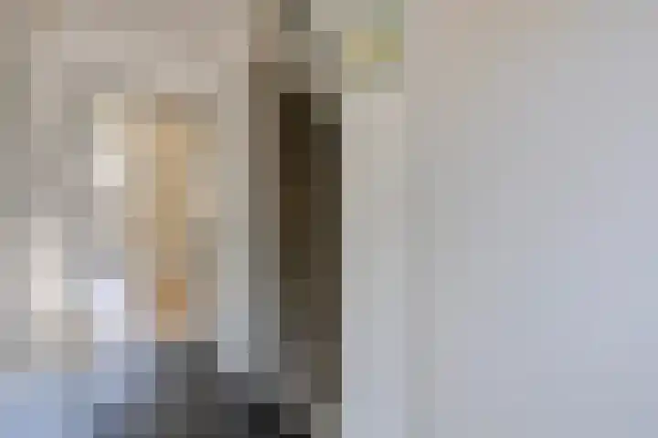 Augusta de Witstraat 5 Gemert thumbnail 8