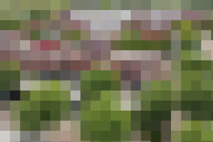 Augustusweg 47 De Meern thumbnail 34