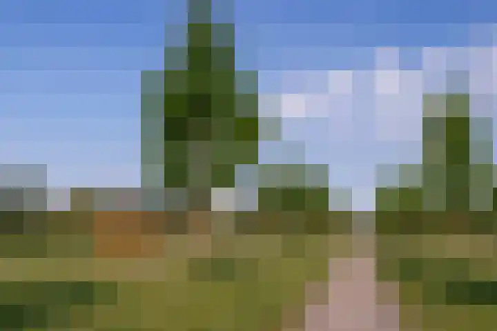 Augustusweg 47 De Meern thumbnail 37
